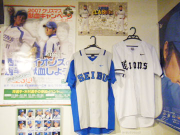 企画展