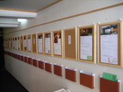 企画展