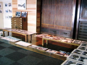 企画展