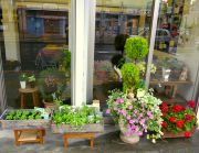 企画展