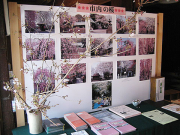 企画展