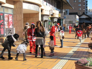 T^T2013@19